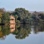 Hikezy-Reflection-in-the-stagnant-lake-of-Ranthambore-national-park