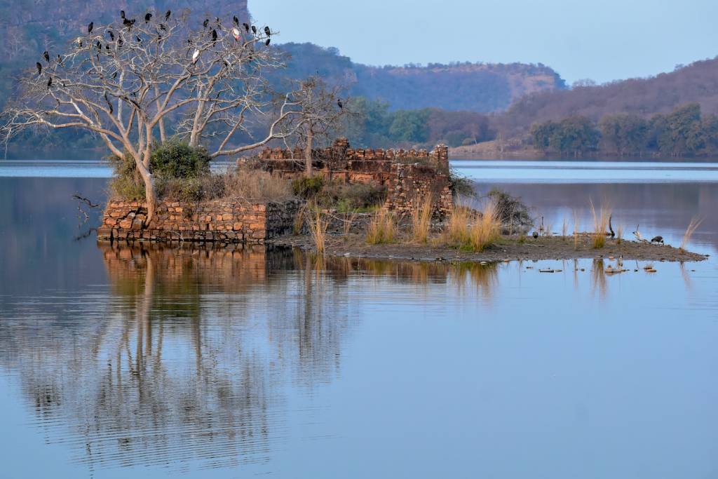 Hikezy Reflection of beautiful scenery in the middle of the lake of Ranthambore national park