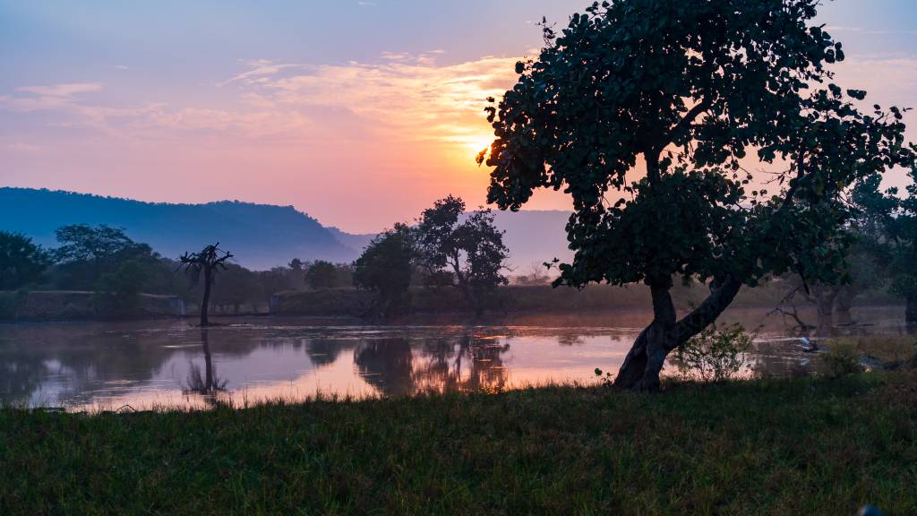 Hikezy Scenic View of Lake against sky during sunset, Ranthambore National Park