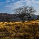 Hikezy-Scenic-view-from-the-hill-of-Ranthambore-national -park