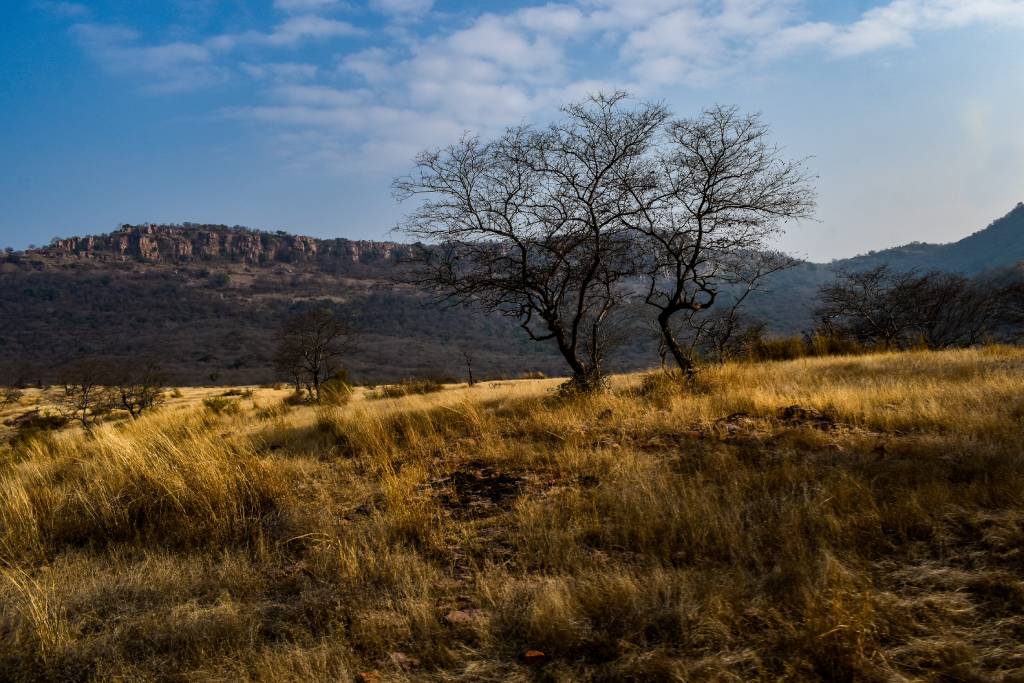 Hikezy Scenic view from the hill of Ranthambore national park